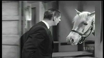 Mister Ed Season 5 Episode 15