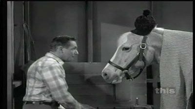 Mister Ed Season 5 Episode 19