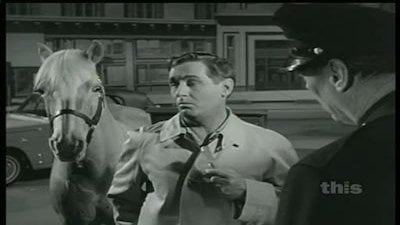 Mister Ed Season 5 Episode 21