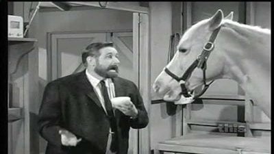 Mister Ed Season 5 Episode 22