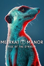 Meerkat Manor: Rise of the Dynasty