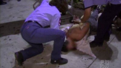 Cops Season 8 Episode 3