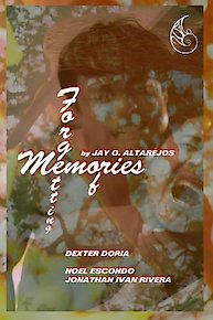 Memories of Forgetting