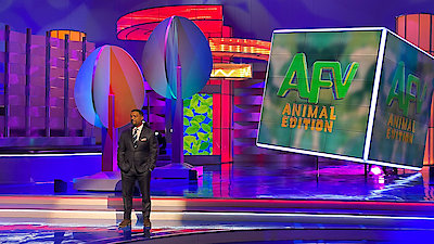 America's Funniest Videos: Animal Edition Season 1 Episode 11