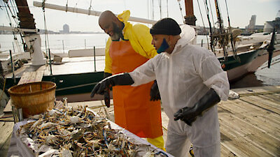 Fresh, Fried & Crispy Season 1 Episode 4