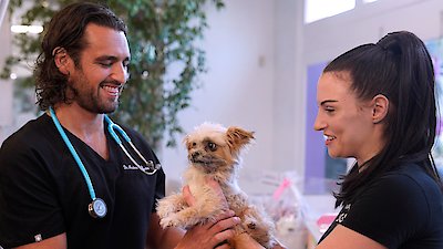 Vanderpump Dogs Season 1 Episode 3