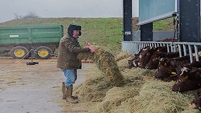 Clarkson's Farm Season 2 Episode 4