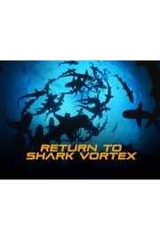 Return to Shark Vortex