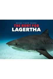 Rogue Tiger Shark: The Hunt for Lagertha
