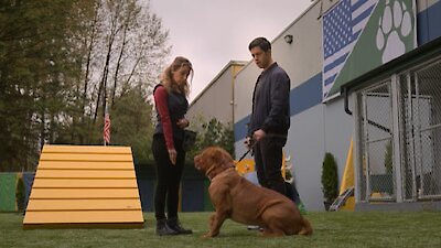 Turner & Hooch Season 1 Episode 1