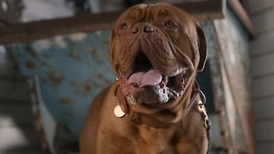 Turner & Hooch Season 1 Episode 12