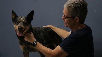 The Hatcher Family Dairy Season 1 Episode 6