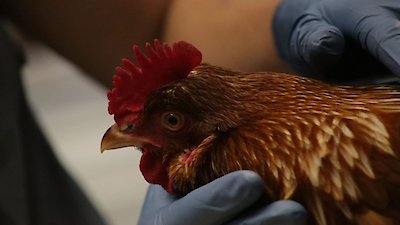 The Hatcher Family Dairy Season 1 Episode 7