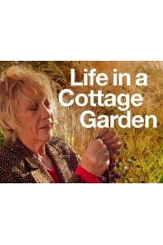 Life in A Cottage Garden