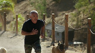 Cesar Millan: Better Human Better Dog Season 1 Episode 3