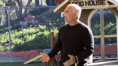 Cesar Millan: Better Human Better Dog Season 1 Episode 4