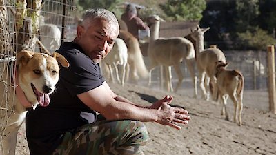 Cesar Millan: Better Human Better Dog Season 1 Episode 8