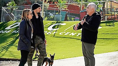 Cesar Millan: Better Human Better Dog Season 5 Episode 4