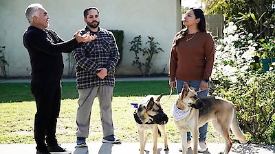 Cesar Millan: Better Human Better Dog Season 5 Episode 6