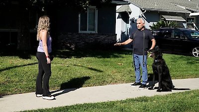 Cesar Millan: Better Human Better Dog Season 5 Episode 12