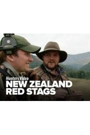 New Zealand Red Stags