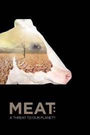 Meat: A Threat To Our Planet?