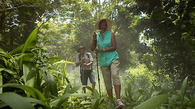Fantasy Island Season 1 Episode 1