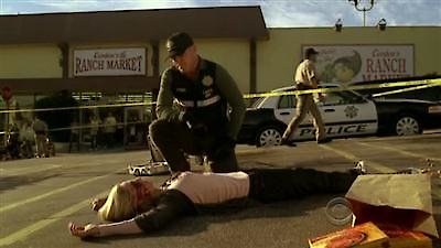 CSI: Crime Scene Investigation Season 11 Episode 10