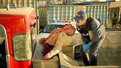 CSI: Crime Scene Investigation Season 15 Episode 15