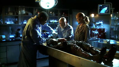 CSI: Crime Scene Investigation Season 9 Episode 11