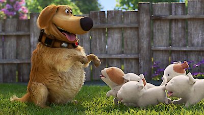 Dug Days  On Disney+