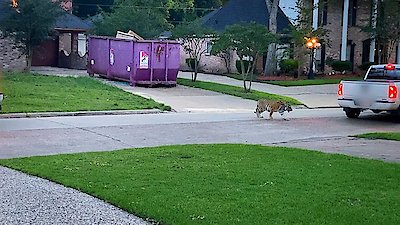 Neighborhood Wars Season 1 Episode 4