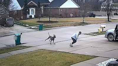 Neighborhood Wars Season 1 Episode 10