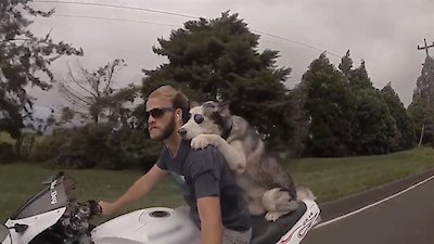 Neighborhood Wars Season 3 Episode 5