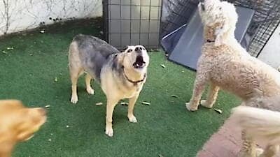 Neighborhood Wars Season 4 Episode 12