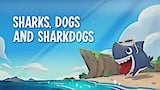 Sharks, Dogs and Sharkdogs / Sharkdoggy Day / Fins That Go Bump in the Night