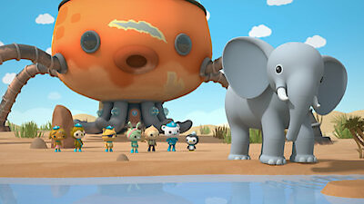 Octonauts: Above & Beyond Season 1 Episode 1