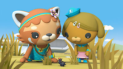 Octonauts: Above & Beyond Season 1 Episode 6