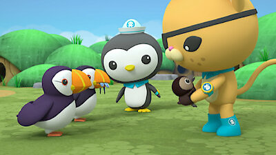 Octonauts: Above & Beyond Season 1 Episode 13