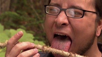 Guinea Pig Season 2 Episode 8