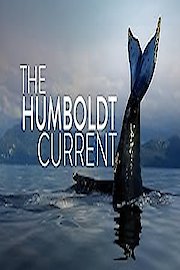 The Humboldt Current