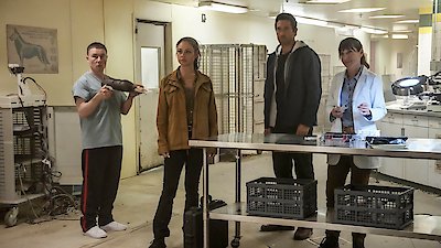 NCIS: Hawai'i Season 3 Episode 10