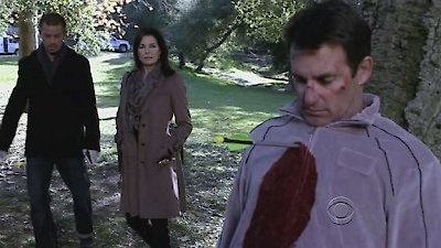 CSI: NY Season 8 Episode 13