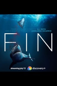 Fin