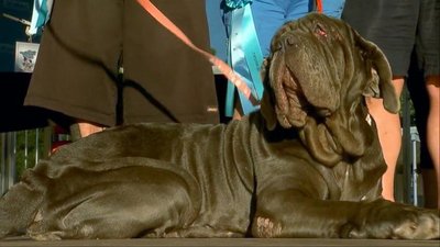 Good Morning America Season 42 Episode 142