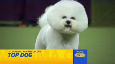 Good Morning America Season 43 Episode 44