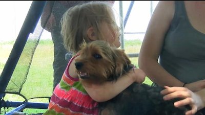 Good Morning America Season 43 Episode 167