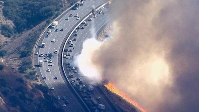 Good Morning America Season 43 Episode 317