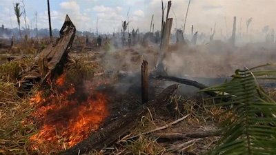 Good Morning America Season 44 Episode 234