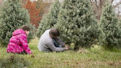 Good Morning America Season 44 Episode 334